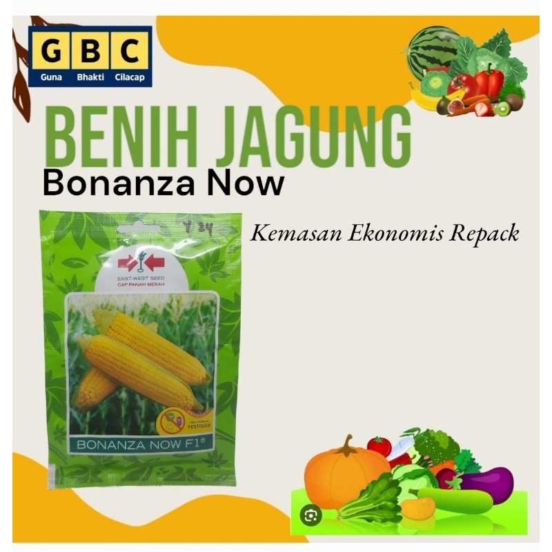 Benih/Bibit/biji jagung Bonanza Now