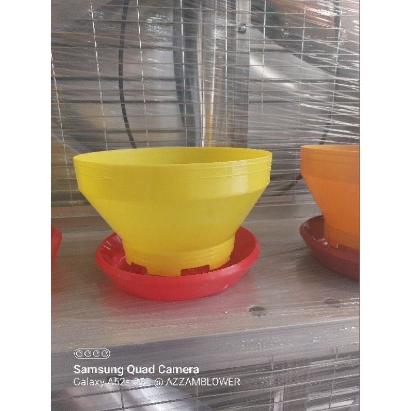 baby chick  gread A tempat pakan untuk doc / ayam kecil
