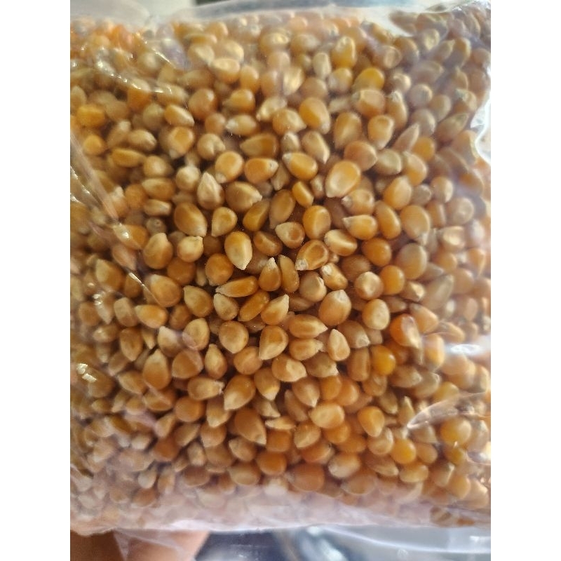 jagung popcorn mentah 500gr