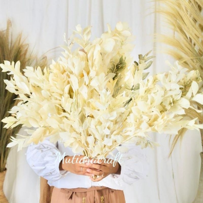 ruskus cream Hiasan Buket rayung Paket Hemat Bunga Kering Hiasan Dekorasi Rustic craft Bunga Ruskus 