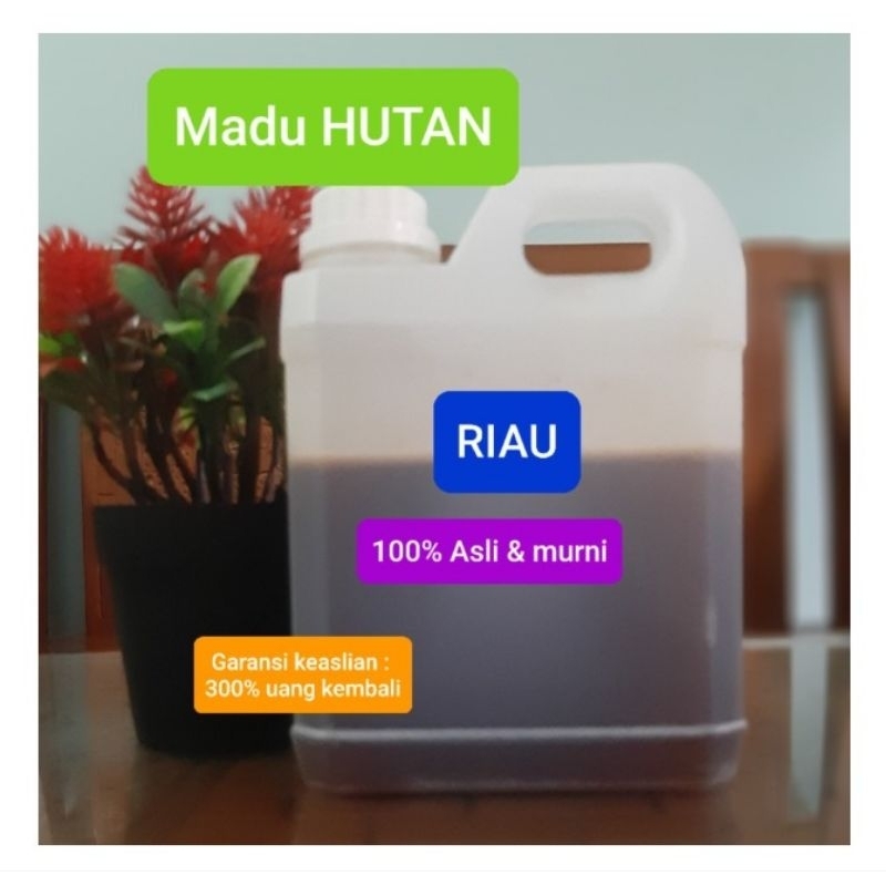 

madu Riau Asli 100% kualitas terbaik