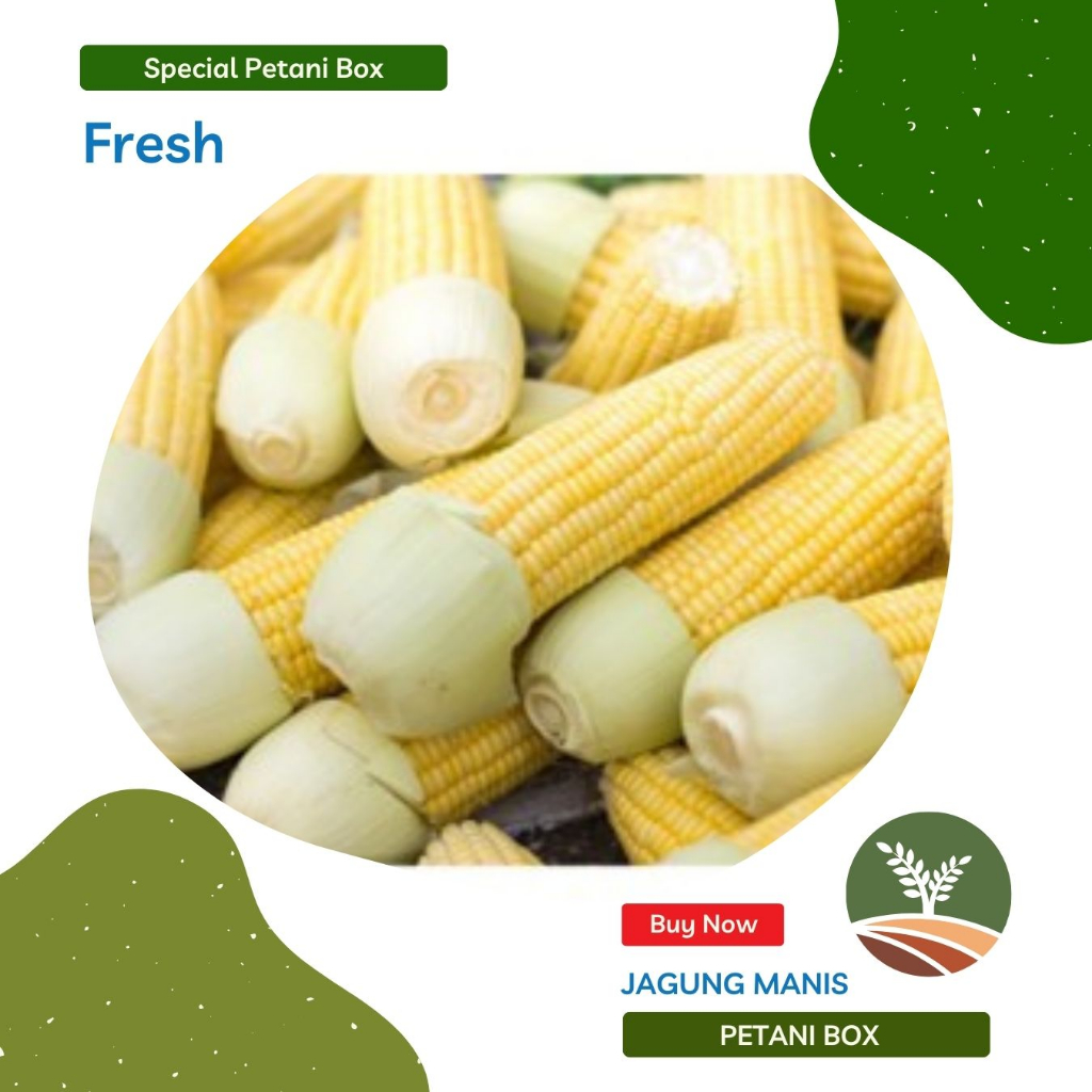 

Jagung Manis Petani Box Sayur Sayuran Segar Kota Bandung