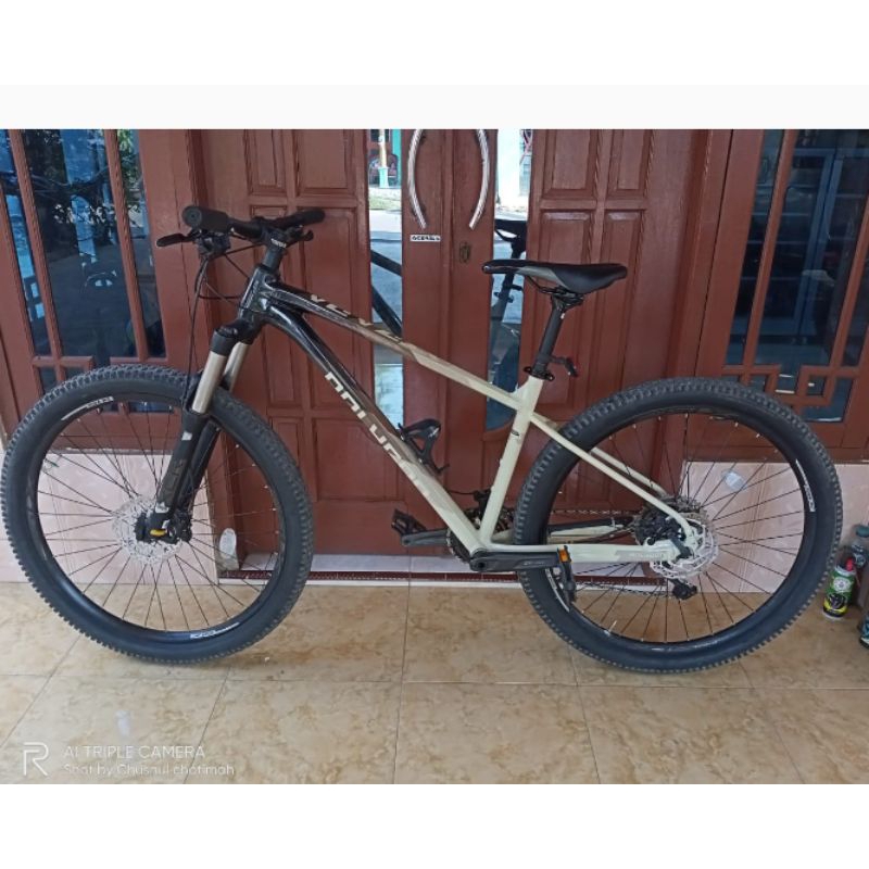 Polygon Xtrada 6 2022