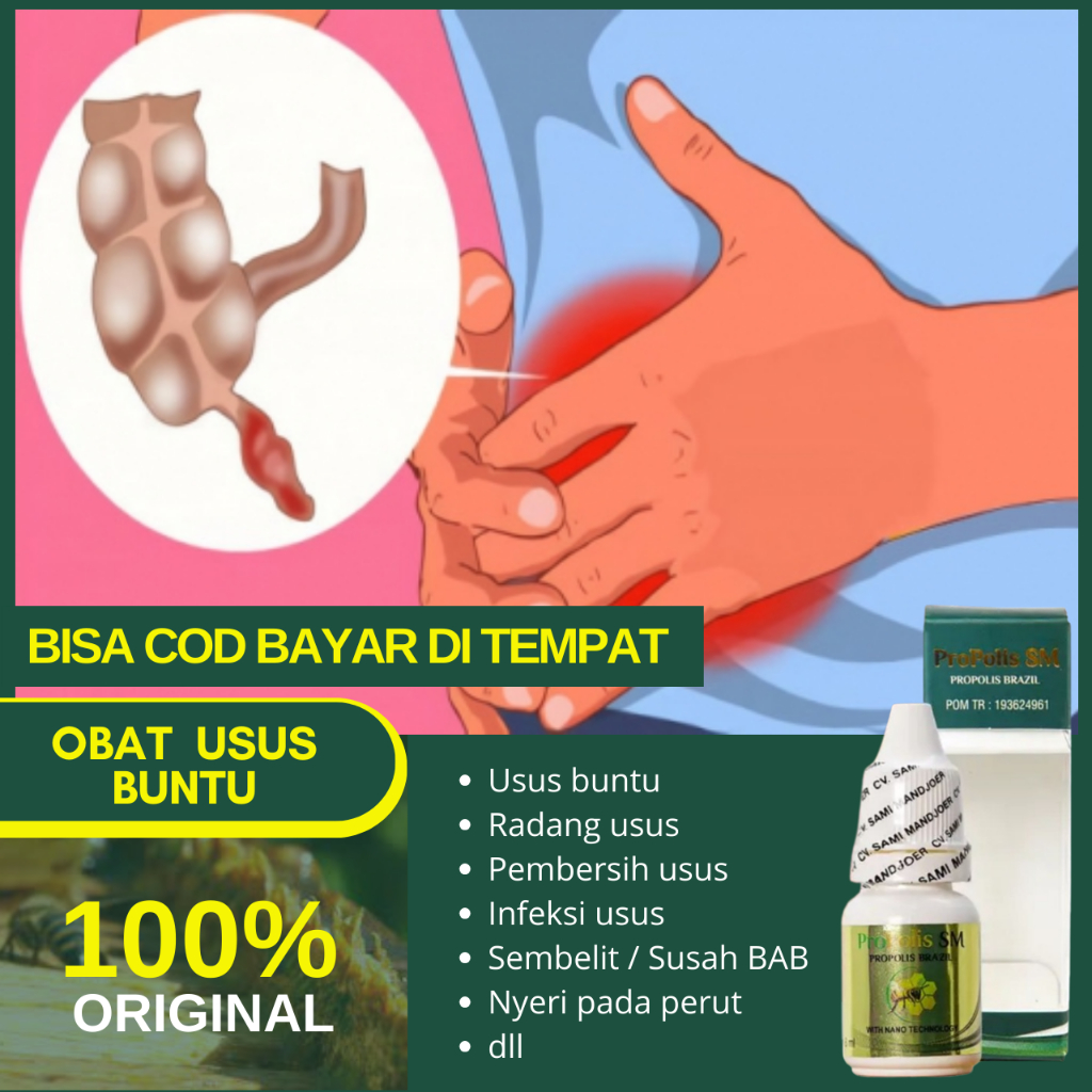 Obat Usus Buntu Herbal Radang Usus Besar, Sakit Lambung, Infeksi Usus Dan Radang Usus - Propolis SM