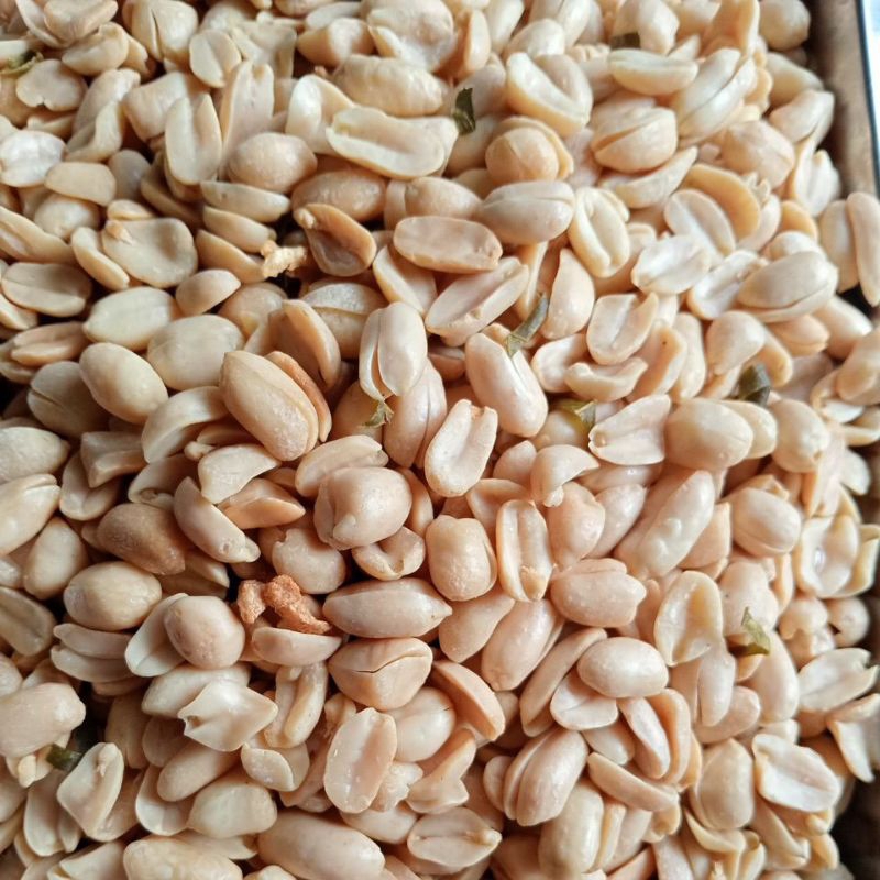 

kacang bawang