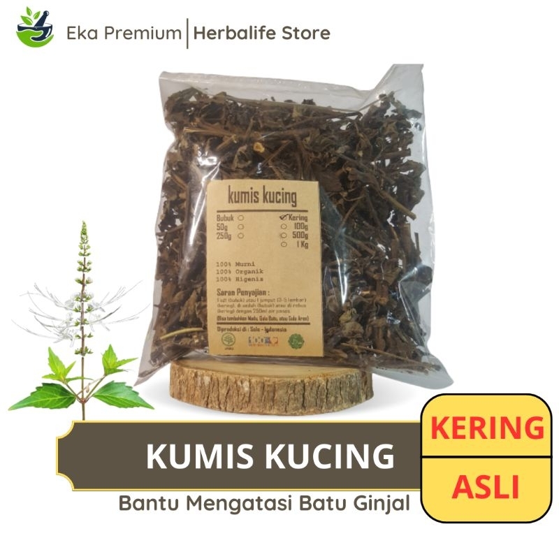 

DAUN KUMIS KUCING KERING Ramuan Rempah Herbal Asli Murni Jamu Minuman Alami Tradisional Simplisia Orthoaiphon Aristatus