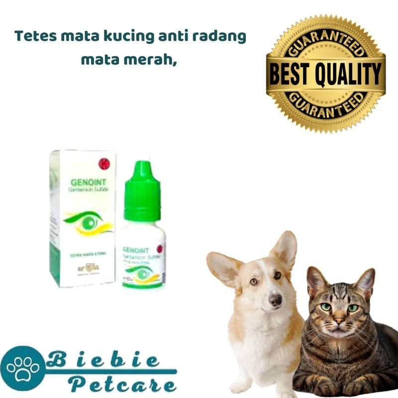 Genoint Tetes mata kucing, anti radang mata