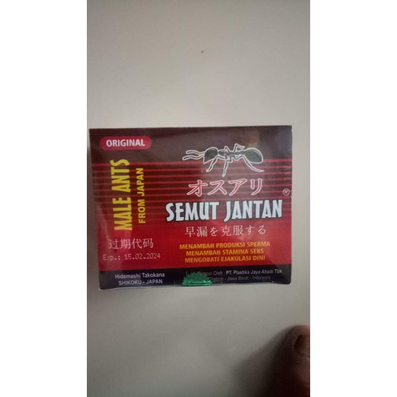 

SEMUT JANTAN