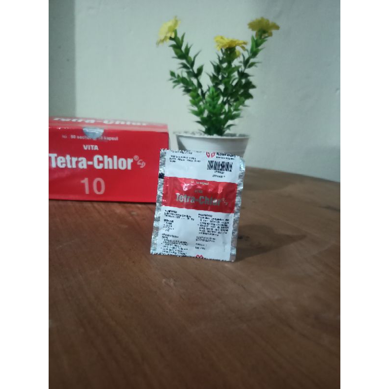 Tetra Chlor kemasan sachet - 10kapsul