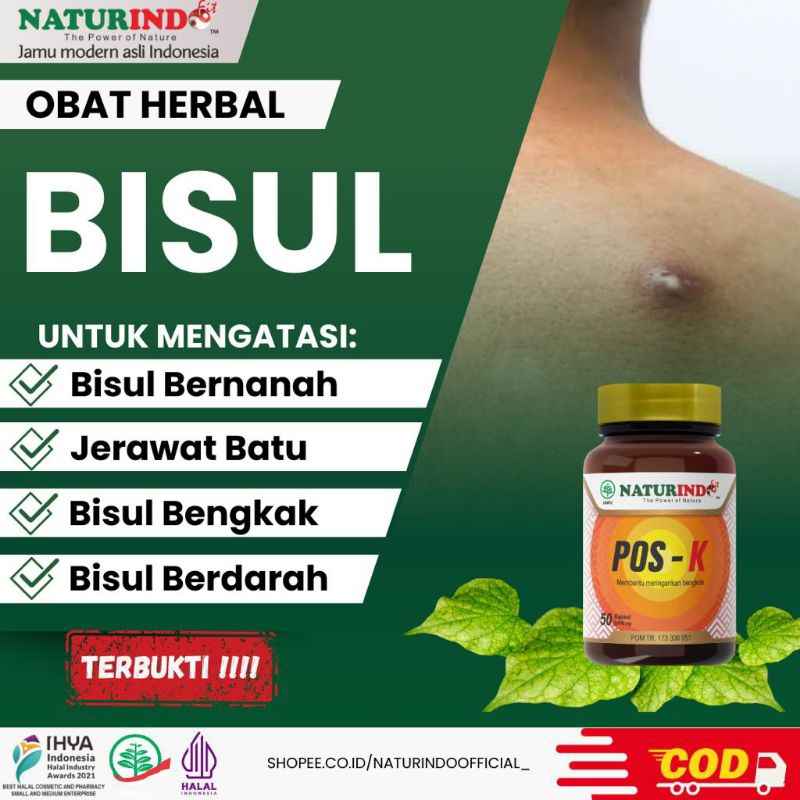 Obat Bisul Bisulan Udun Bisulan Bernanah Jerawat Batu Bisulan di Pantat Bisulan Bengkak Peradangan B