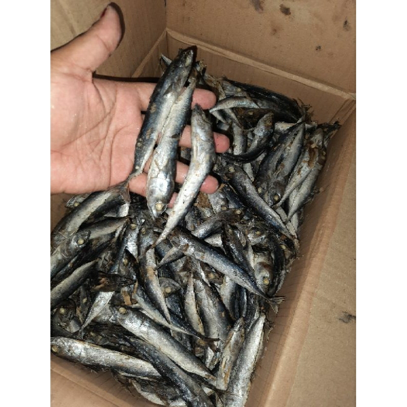 

IKAN REBUS ASIN MEDAN /250 GRAM