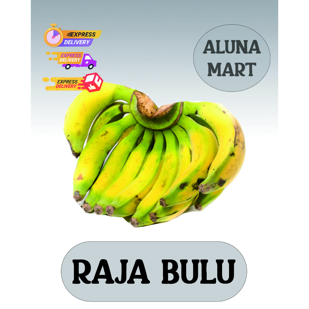 

PISANG RAJA BULU FRESH MURAH 1 SISIR