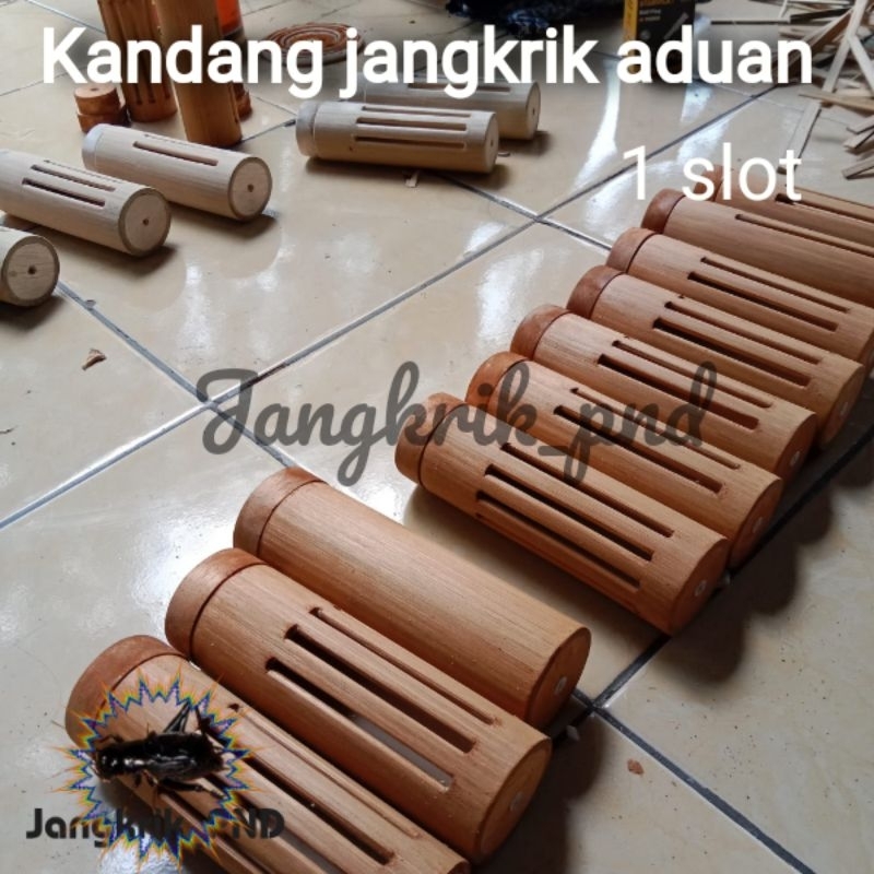 kandang jangkrik aduan 1slot bumbung bulat / kandang jangkrik balap