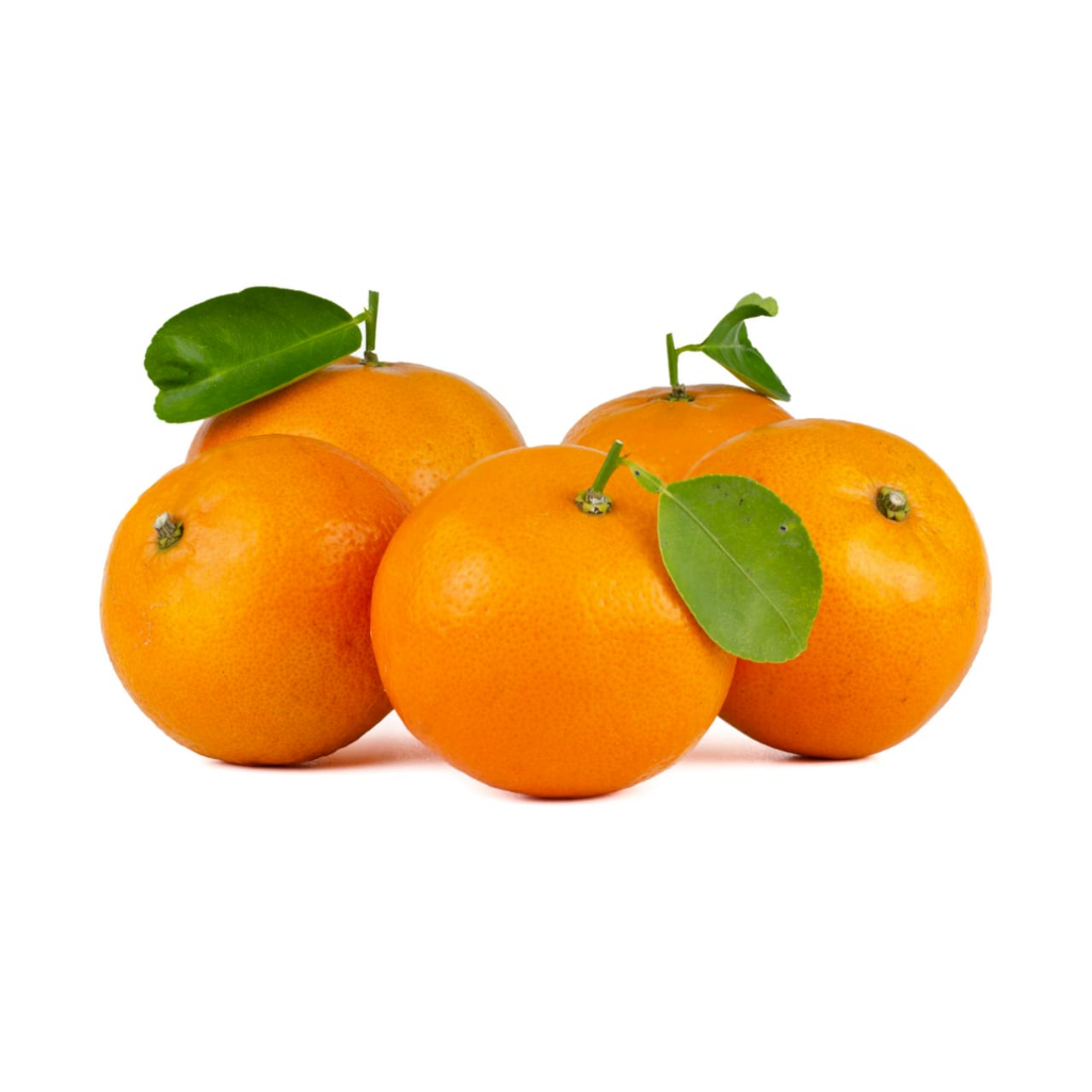 

Juall buah jeruk segar