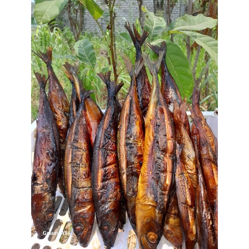 

asap salem,asap manyung 275g