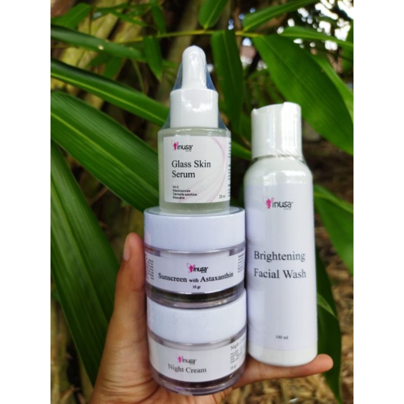 Paket Flek dan Anti Aging Inusa Skincare