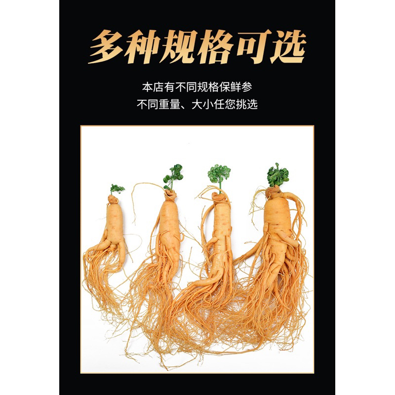 

Ginseng Merah Segar 100gram