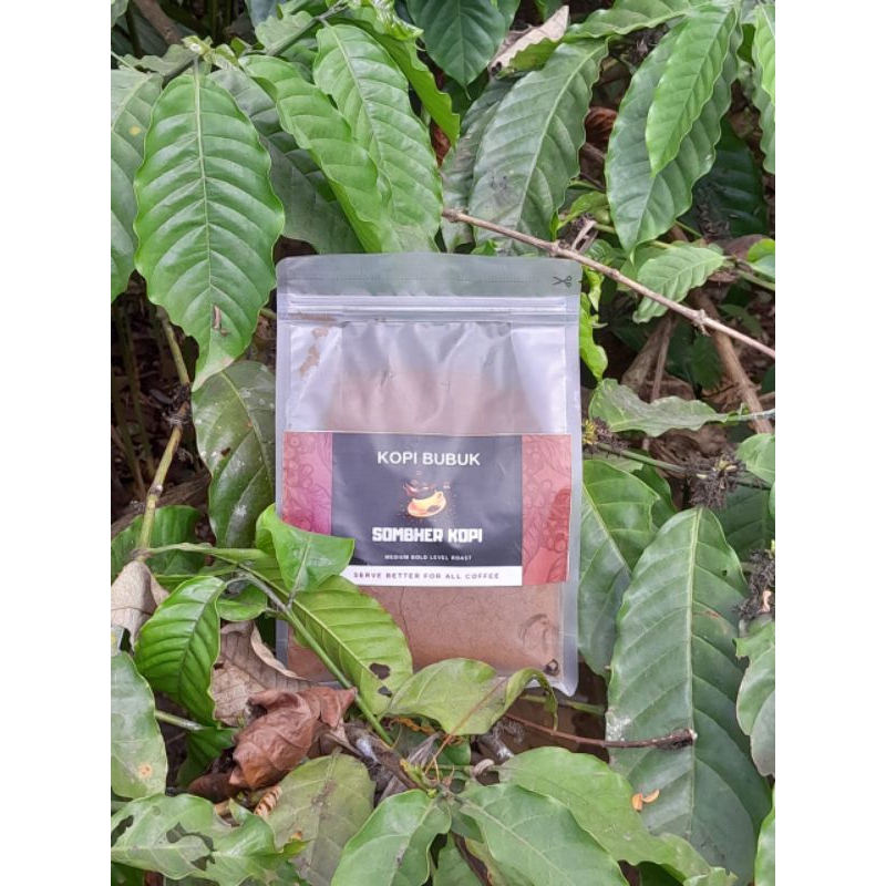 

Kopi Robusta 1 kg - Roastbean atau Bubuk