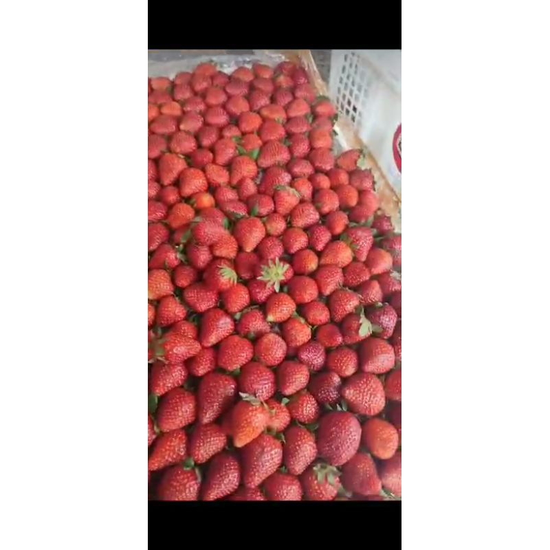 

Strawberry 500g