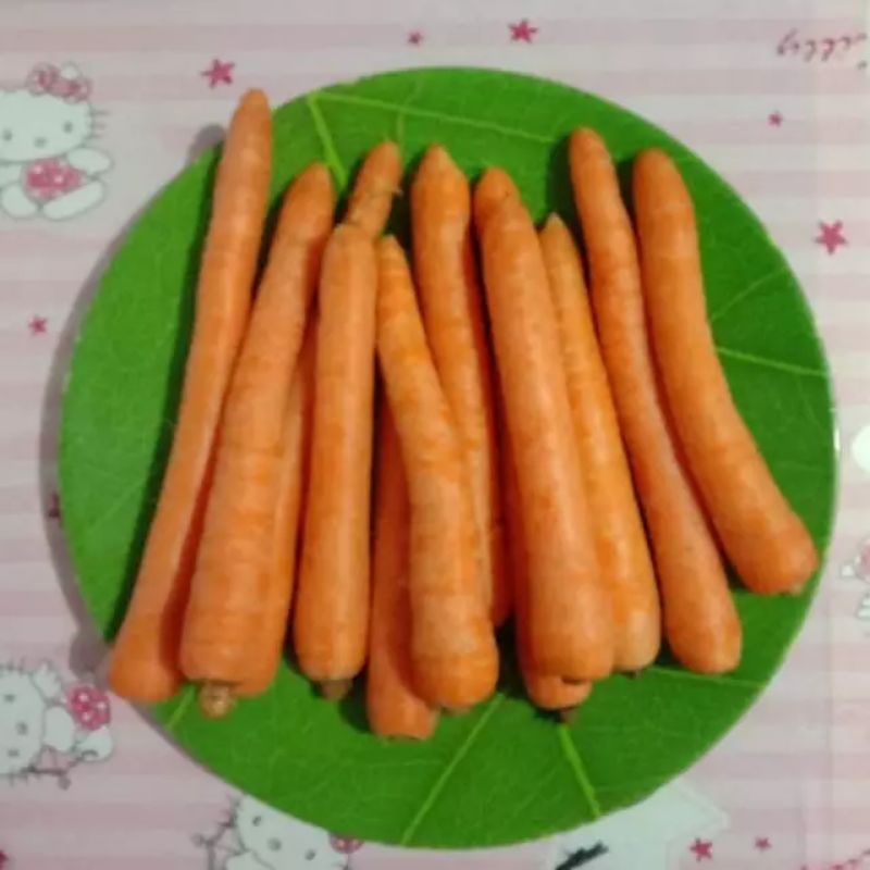 

INSTAN Wortel lokal fresh