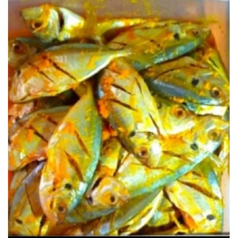 

Ikan Selar Bumbu Kuning Segar 500gr