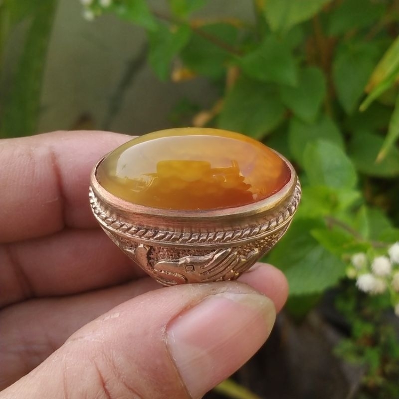 batu cincin akik pandan nasmut betok ngambang clasik{alami}