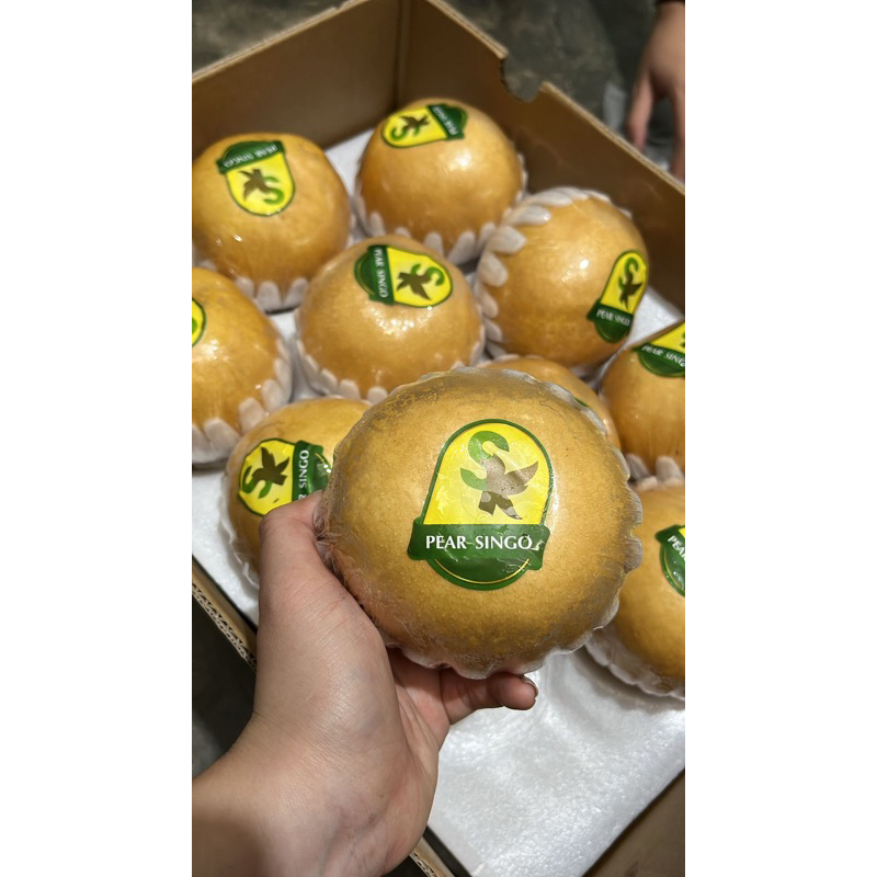 

pear singo korea