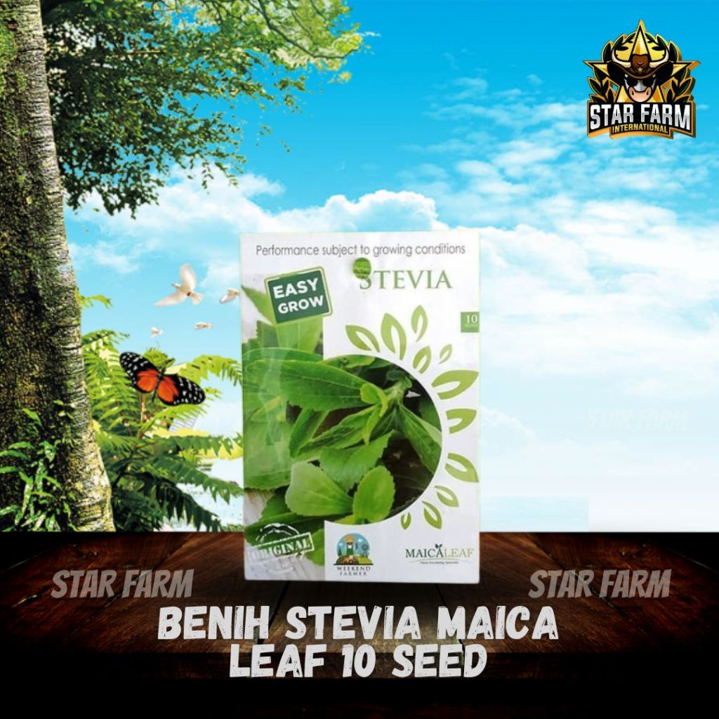 Benih Stevia Maica Leaf 10 Seed - Star Farm