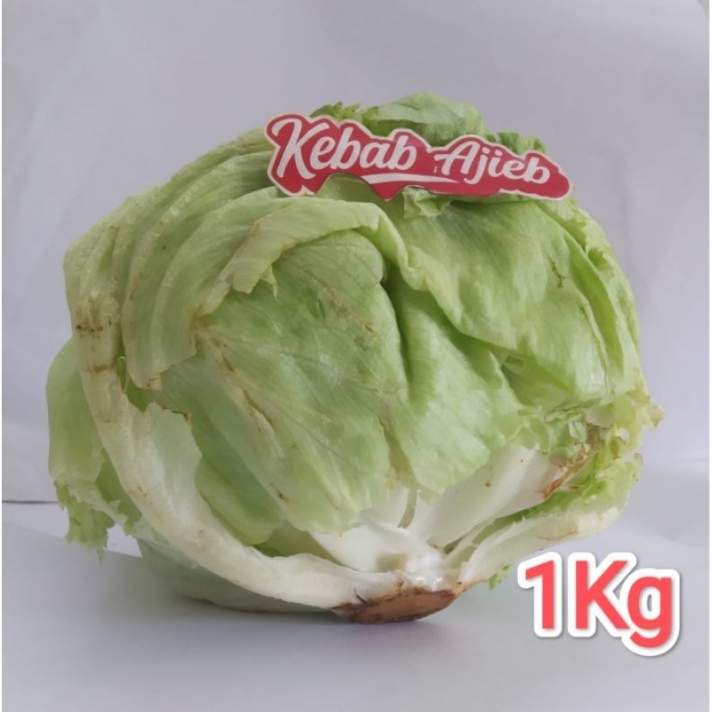 Lettuce Sayuran Kebab 1 kg