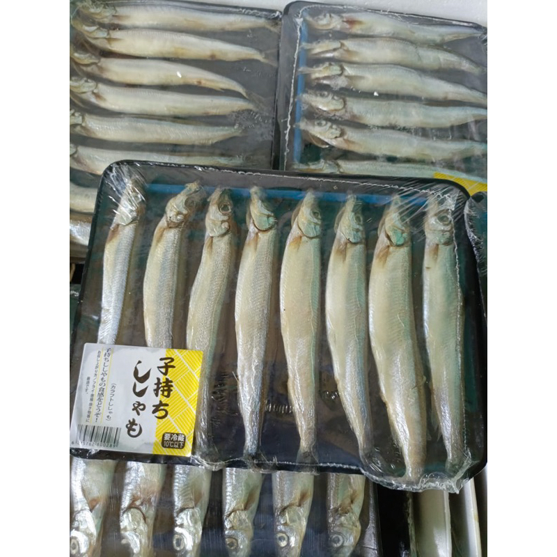 

Shisamo Import/Capelin Fish
