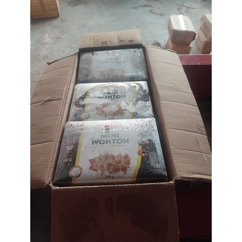 mini woonton bumi food 350gr