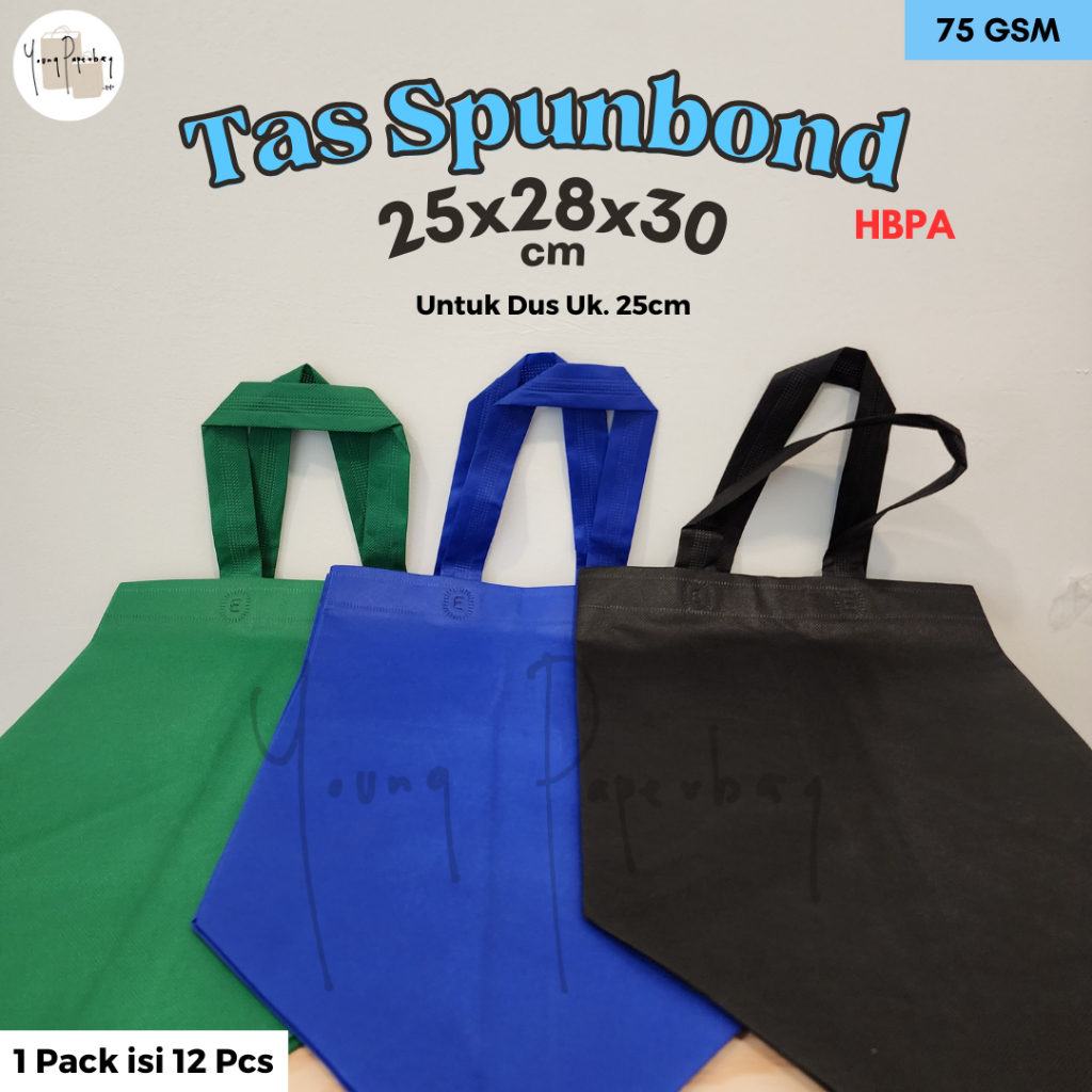 

Tas Kain Spunbond Goodie Bag HBPA Box 25 Uk. 25x28x30 (1 lsn)