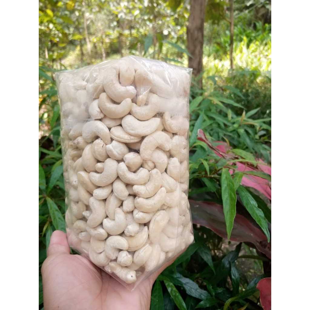 

KACANG METE/KACANG MEDE MENTAH BARU KUPAS 1/2 KG/KACANG METE FRESH