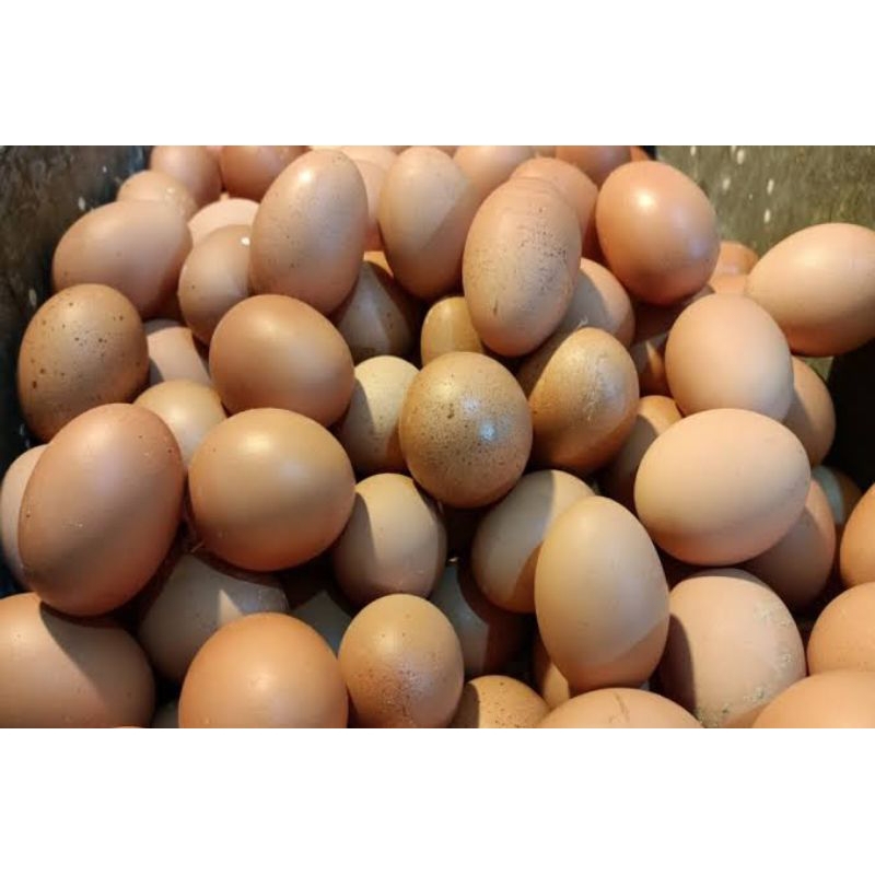 

telur ayam kampung