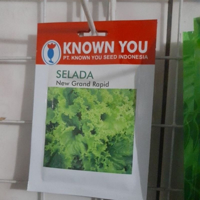 benih unggul Selada Hijau SELADA NEW GRAND RAPID ISI 5 GRAM