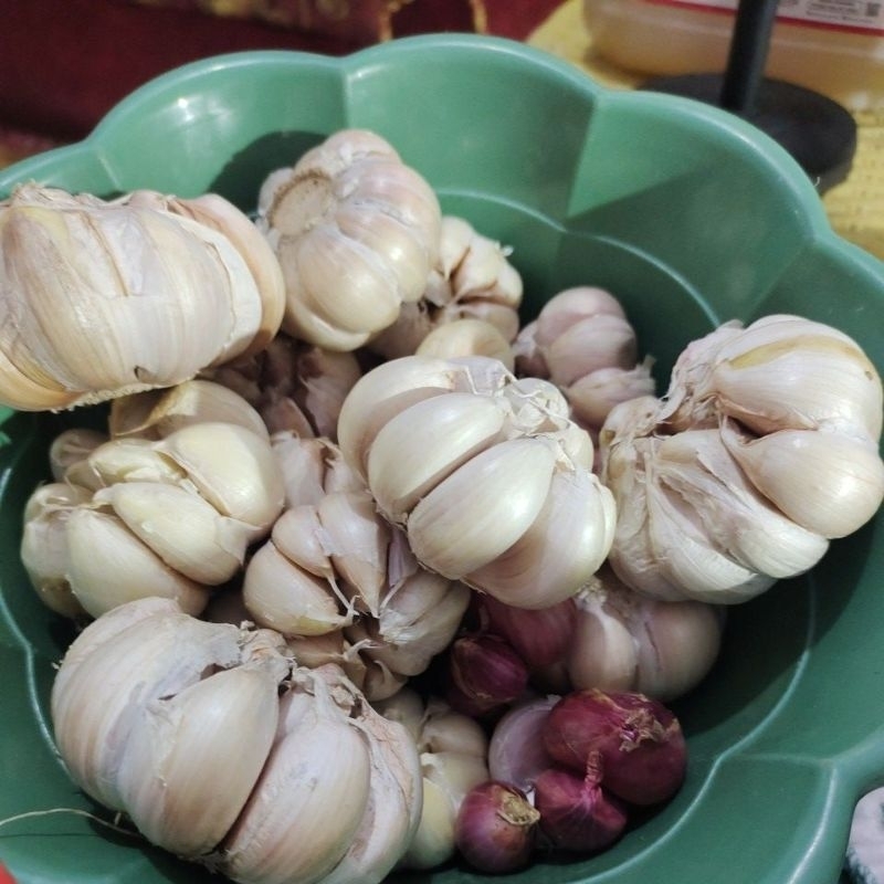 

(JATIM) BAWANG PUTIH 1/2 kg(500 gr