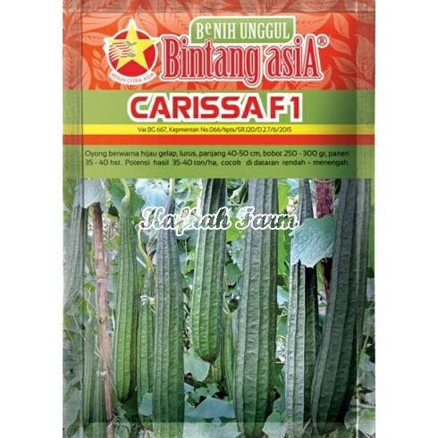 Benih 2 Biji Oyong CARISSA F1