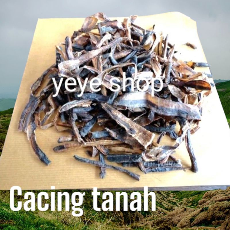 TERMURAH-Cacing kering asli 20gram- Obat demam -Tipes Ampuh