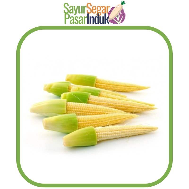

Baby Corn Janten mulai 250 gr Sayur Segar Pasar Induk