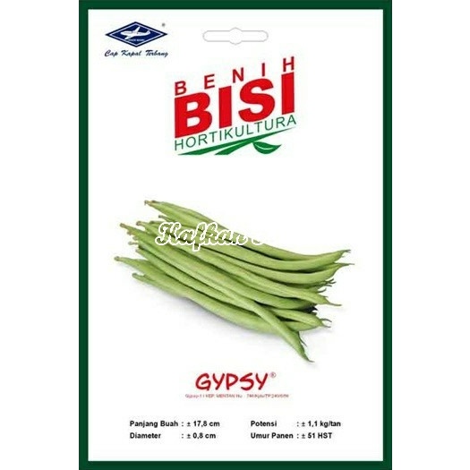 Benih 15 Biji Buncis GYPSY