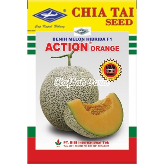 Benih 1 Biji Melon ACTION ORANGE F1