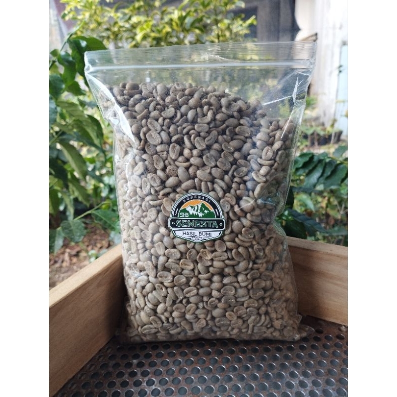 Green bean robusta
