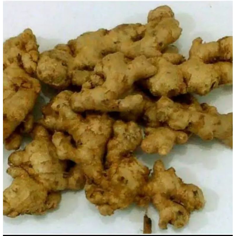 

jahe emprit 500g