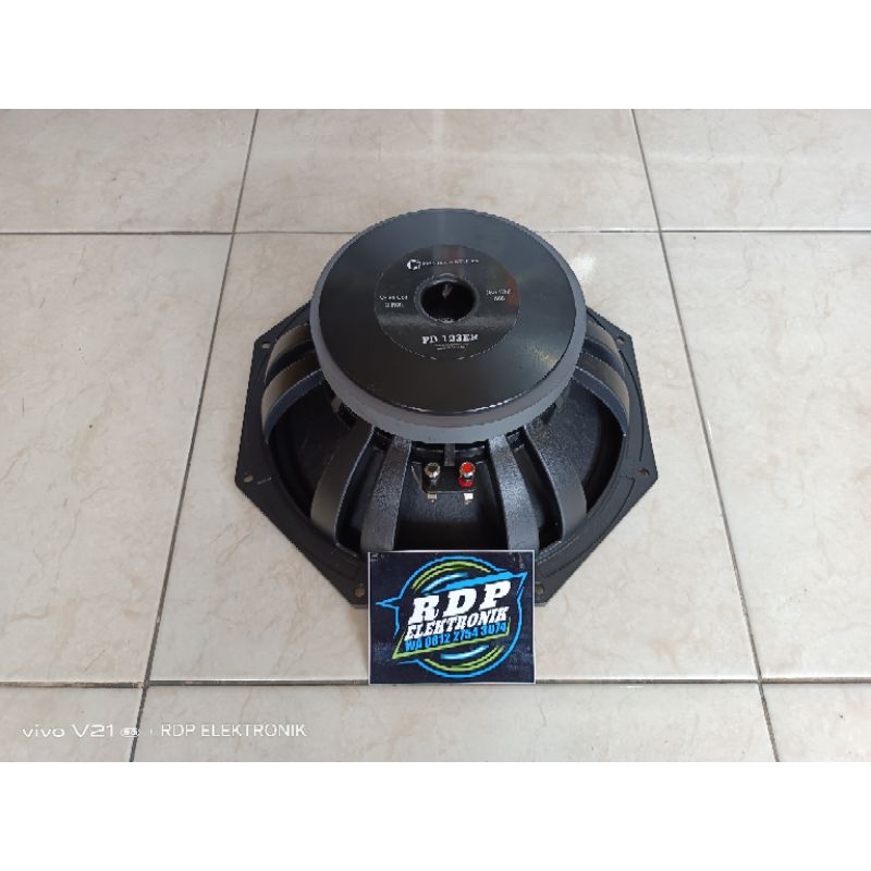 SPEAKER 12 IN PD 123ER