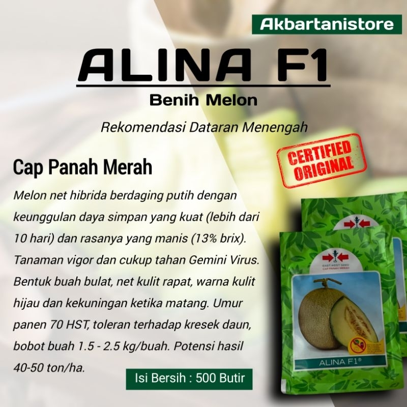 Benih Melon Alina F1 - 500 Butir