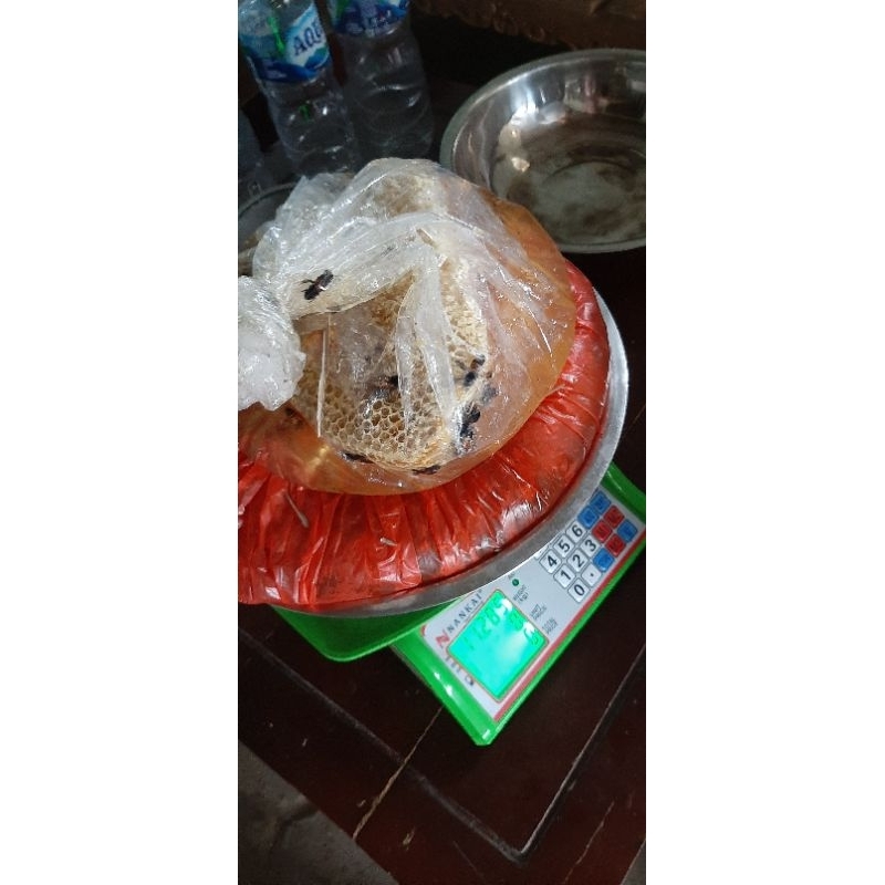 

Madu tawon