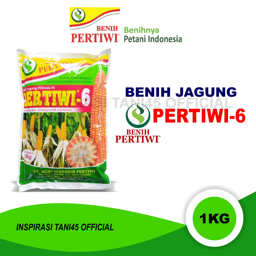 Pertiwi 6/Benih jagung pertiwi 6 1kg/Bibit jagung pertiwi 6 1kg/Benih jagung pertiwi 6/bibit jagung 