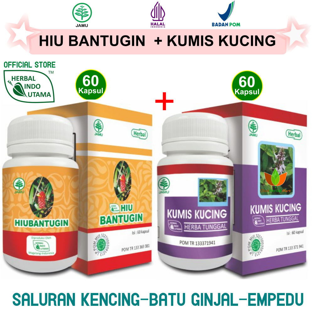 PAKET OBAT HERBAL BATU GINJAL EMPEDU INFEKSI SALURAN KENCING ISK : KAPSUL KUMIS KUCING & KAPSUL BANT