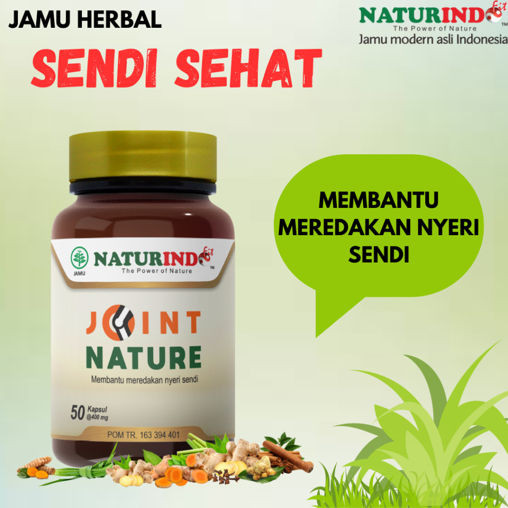 Obat Radang Sendi Lutut Dengkul Kaki Pengapuran Tulang keropos Tulang Osteoporosis Keropos