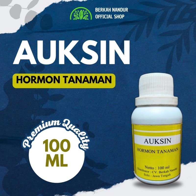 Hormon ZPT Auksin Merangsang Pertumbuhan Akar